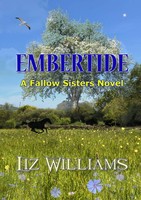 Embertide Liz Williams Taschenbuch Kartoniert / Broschiert Englisch 2022