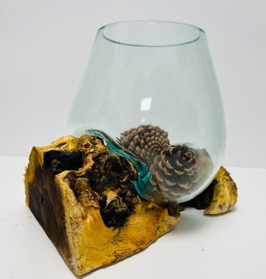 Glas geschmolzene Schale auf Holz Wurzelständer | Dekoschale | Glas rustikal Holzdekor