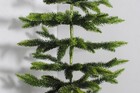 Foto 11 di 17