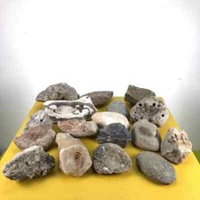 lotto di pietre fossili e minerali