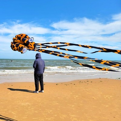 Mint's Colorful Life Octopus Kite, Large 3D Software 158'', Orange Spotty