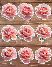 Pink Rose Bulb Die Cut Vinyl Stickers Set Scrapbooking Laptop Water Bottle Pink Rose Bulb Die Cut Vinyl Stickers Set Scrapbooking Laptop Water Bottle