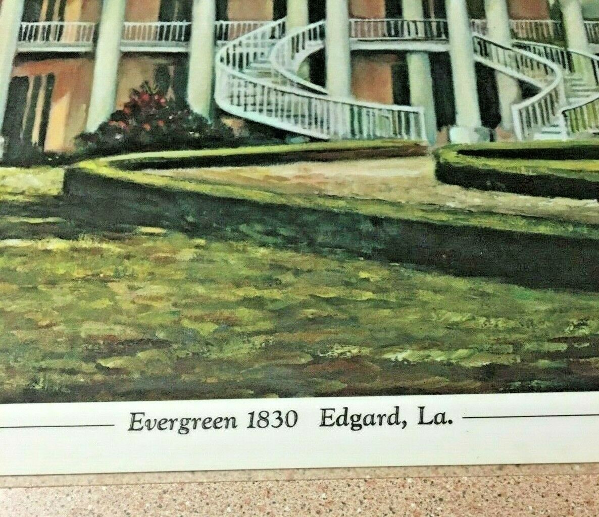 VINTAGE EVERGREEN PLANTATION EDGARD LOUISIANA OLD LAMINATED LARGE PHOTO