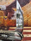 Case XX  6355WH Seahorse Whittler Case Collector Club Pocket Knife 2002 — photo 3