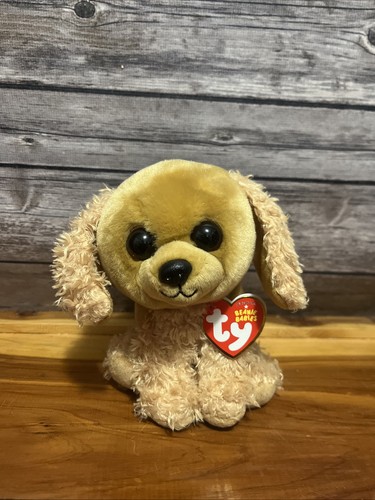 Peluche Ty Beanie Baby SADIE THE COCKER SPANIEL DOG 6" Nuevo - Imagen 1 de 8