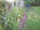 Bild 3 von 8