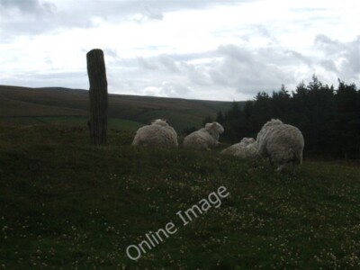 Foto 6x4 Bitte , steh nicht auf Ginclough aber natürlich haben sie es gemacht c2009