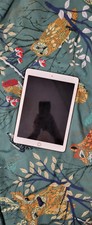 Ipad 6th Generation Rose Gold 32gb