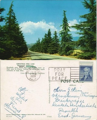 Kalifornien Allgemein CHRISTMAS TREE LANE Beaumont California USA 1959