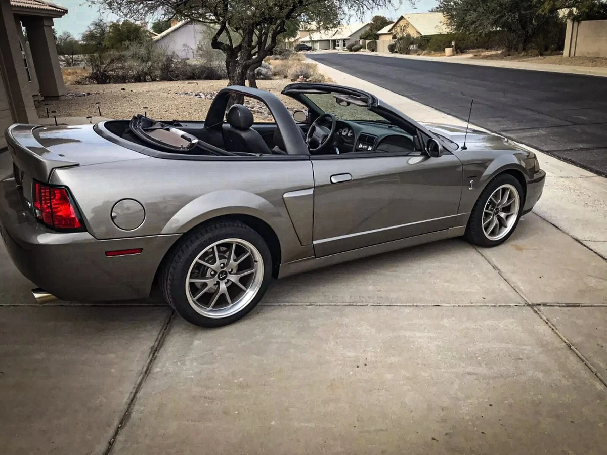 Click photo thumbnail to view