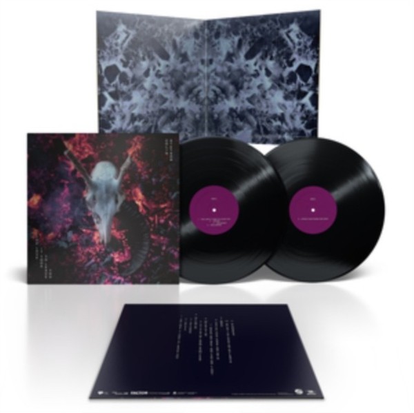 Colin Stetson - Love It Took To Leave You - Vinyl Record 12 Record - G3Z-image