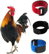 3 Pack No Crow Rooster Collar, Chicken Collar Anti-Hook Red, Blue, Black 