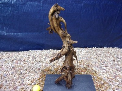 X-Large Driftwood Mounted on Slate 18''x06''x05'' Aquarium Reptile Natural Art