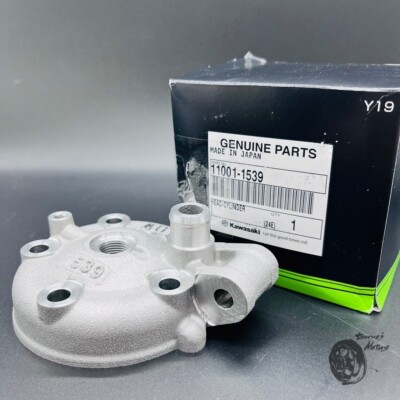 とかげ？ KAWASAKI GENUINE 2001-2013 CYLINDER HEAD KX85 KX 85 OEM