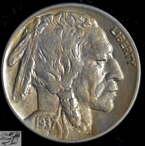 1937 Buffalo Nickel, Almost Uncirculated+ Condition, Free Shipping in USA, C6825