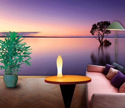 3D Sonnenuntergang See C302 Tapete Wandbild Fototapete Alius Herb Amy 2023