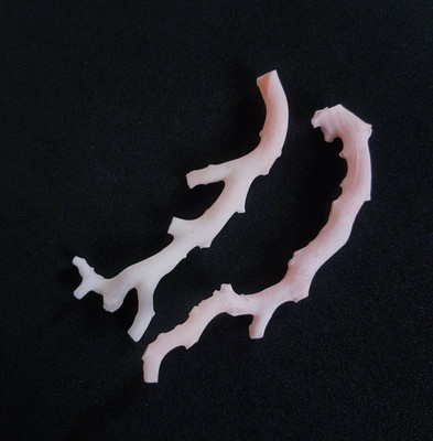Natural White-Pink Rough Coral Loose Branches Sea Coral Undyed Original Coral.