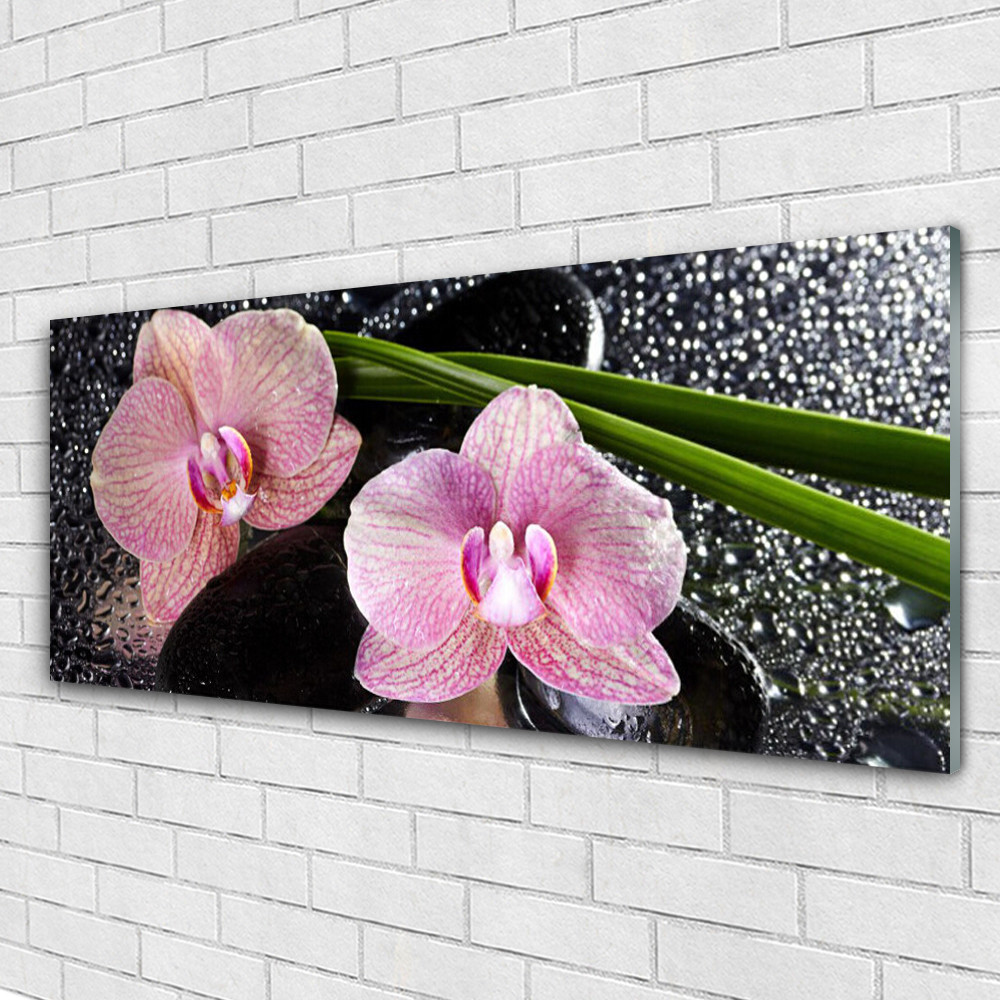 Tableau sur verre panoramique Fleurs Souches Tulup pour salon moderne