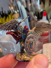 Dungeons And Dragons Hand Painted Miniature Male Aasimar Paladin