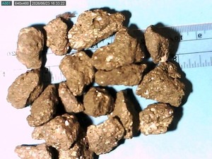 10 IRON PYRITE FOOLS GOLD MIXED COLOR & SIZE LOT F#AD109