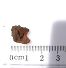 2.08 grams•BOXHOLE Iron Meteorite OXIDE•Australia 1937 Find•COA — photo 3