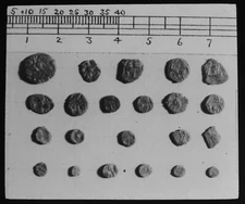 RICHBOROUGH LYDNEY TYPE COIN HOARD KENT C1931 Magic Lantern Slide VINTAGE PHOTO