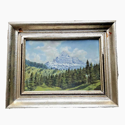 Gemälde Berglandschaft Öl auf Karton W. Meyr? Natur Gerahmt Alpen Wald Watzmann?