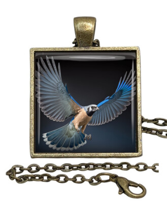 Blue Jay Bird in Flight Glass Top Pendant Necklace Handcrafted Photo Jewelry
