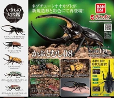 Ikimono Encyclopedia Beetle 08 Complete 5 Types set Capsule Toy Gacha
