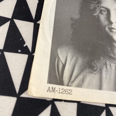 LEE MICHAELS DO YOU KNOW WHAT I MEAN / KEEP THE CIRCLES 45 A&M AM