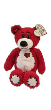 Brand New stuffed animal Red teddy Bear Plushie With Heart First  Main
