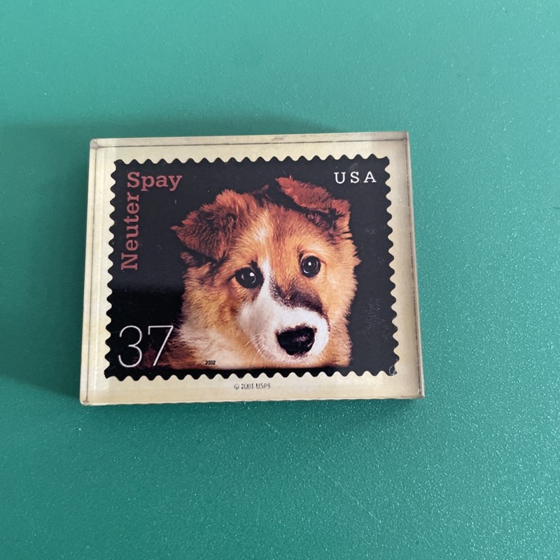 Spay/Neuter Stamp Puppy Magnet 2002