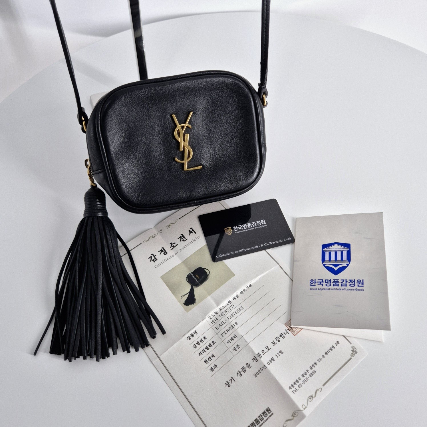 Saint Laurent Nappa Blogger Mini Borsa a tracolla Nera 425317 130183080