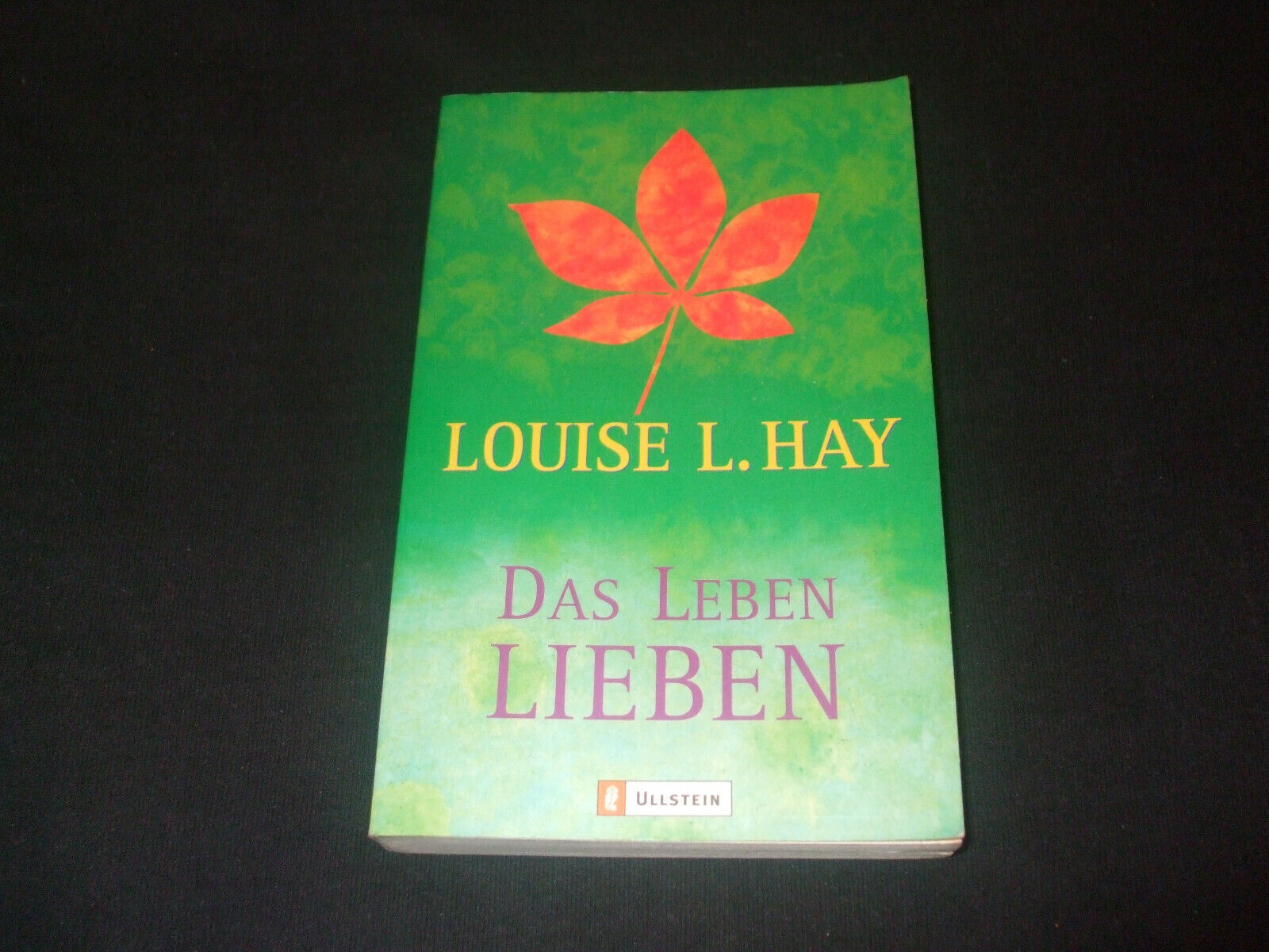 Louise L. Hay - Das Leben Lieben