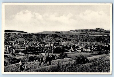 Luxembourg Postcard Diekirch Panorama Animal Farm c1920 s Antique Unposted