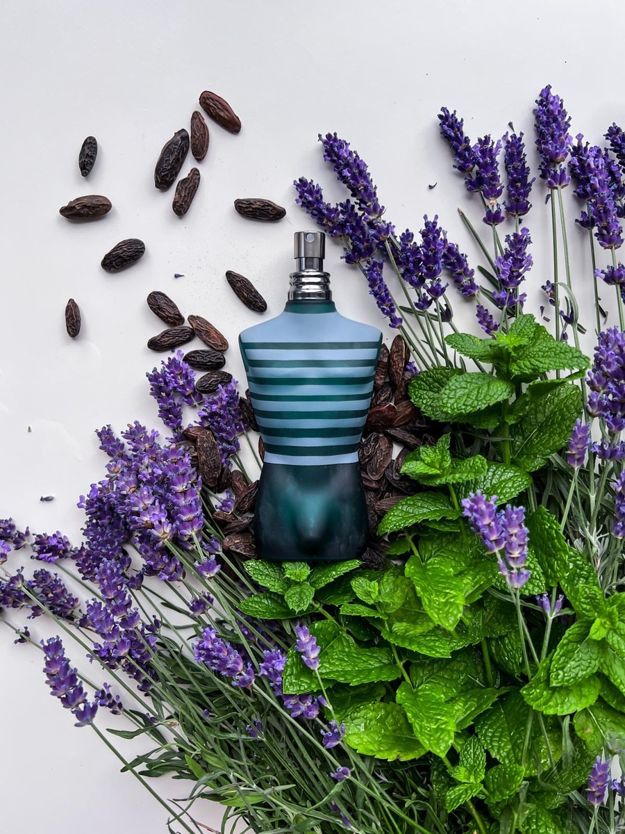 Jean Paul Gaultier Le Male 40 / 75 ml Eau de Toilette | eBay