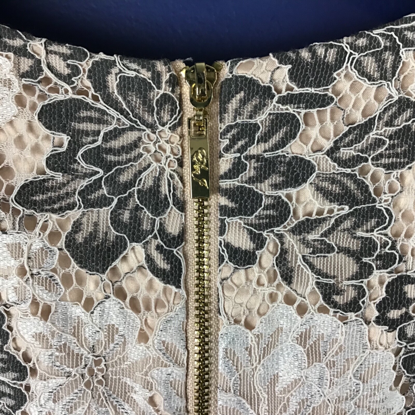 Picture 5 of 10