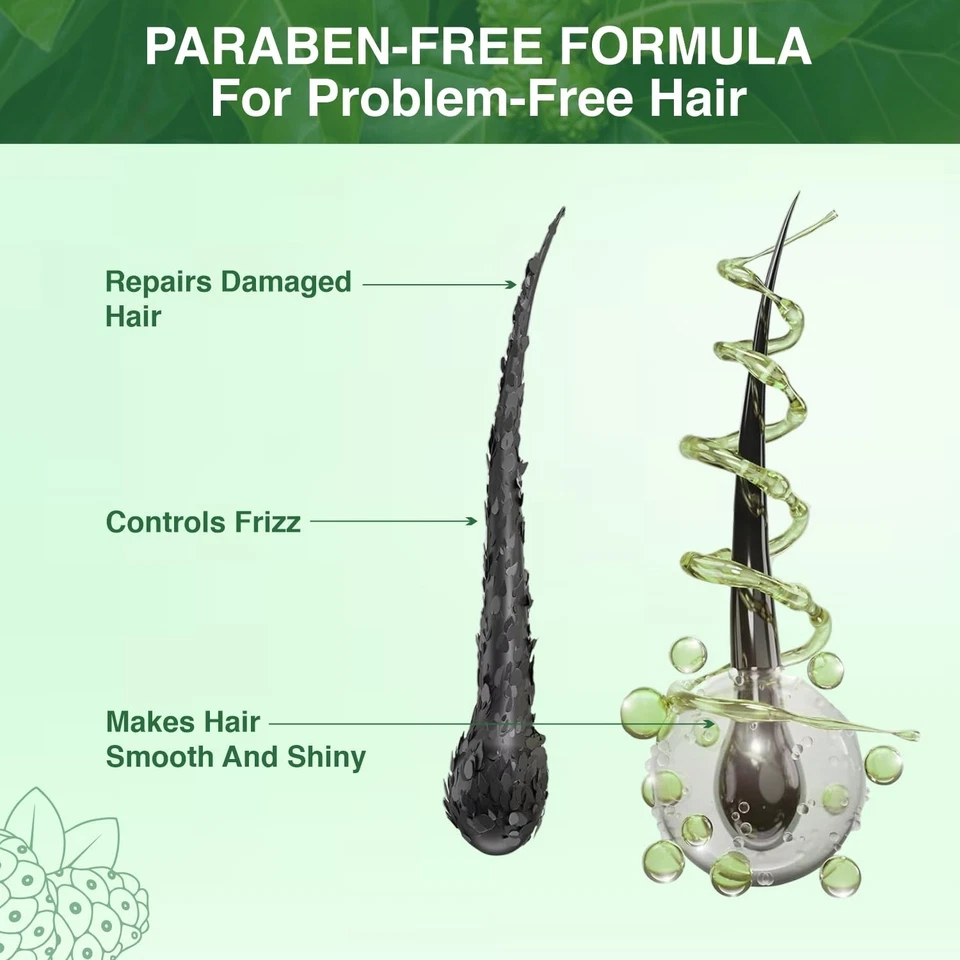 Apollo Noni Shampoo 250ml AloeVera,Deep Clean,Anti‑Dandruff,Hair‑Fall Control - Image 2 of 4