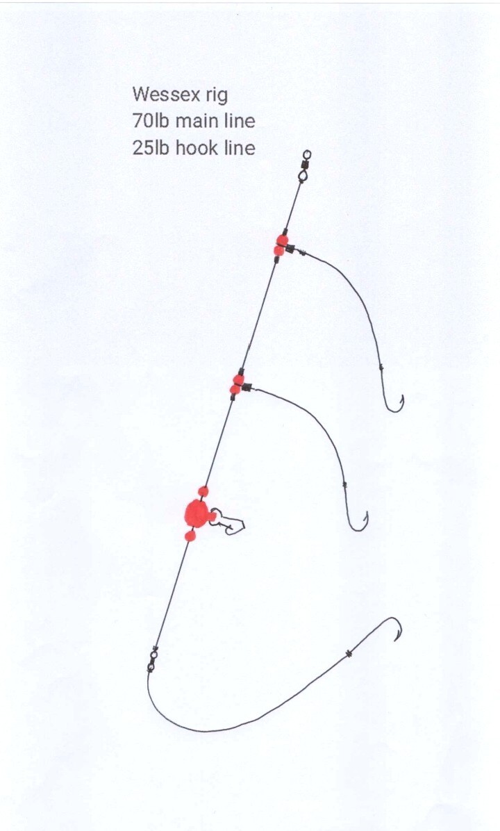 X Three hook Wessex sea fishing rig made with 6/0 Aberdeen