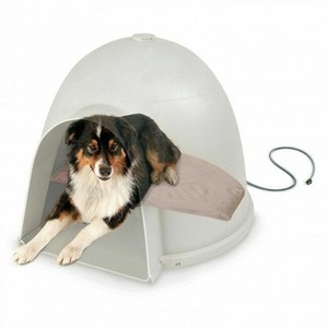 heated pet igloo