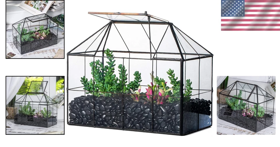 Stylish Indoor Plant House - Black Glass Terrarium with Moisture Control Lid - Image 2 of 4
