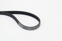 Continental Ctam Keilrippenriemen 5PK868 Elast FüR Ford Volvo