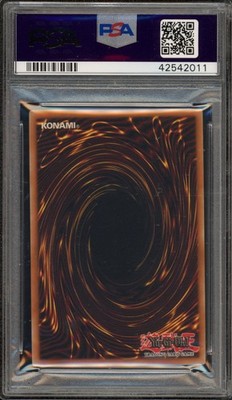 Yu-Gi-Oh! Dark Paladin Magician's Force 1st Ed MFC-105 Corrected
