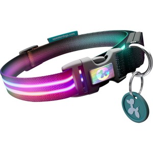 flashing dog collar