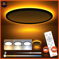 Deckenleuchte Led 24W Dimmbar Rund Schwarz 3000K-6500K Mit Fernbedienung