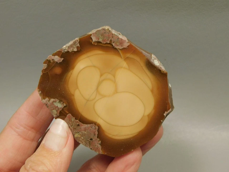 Bruneau Jasper Polished Rock Oregon #O1 - Image 2 of 4