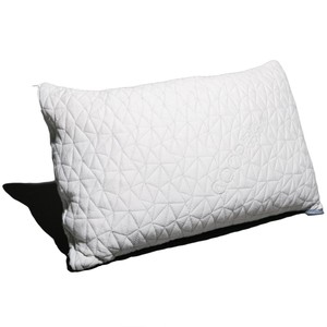 bamboo coop pillow