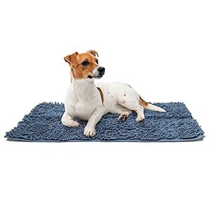 dog absorbent rug