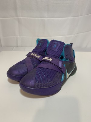 lebron soldier 9 hornets