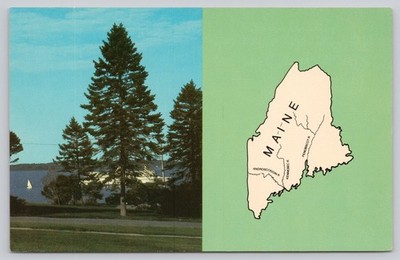 Vintage 1982 Pine Trees Casco Bay Portland Maine Photochrome Postcard